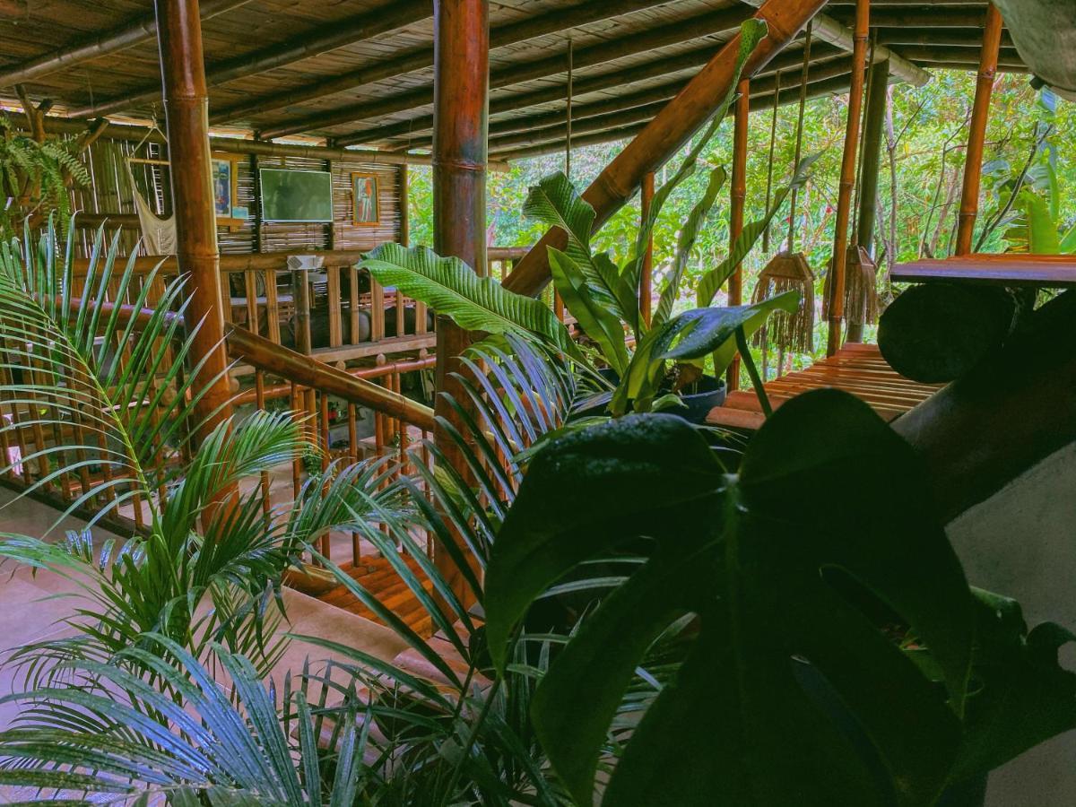 Cinnamon House Mindo Εξωτερικό φωτογραφία