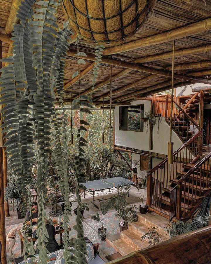 Cinnamon House Mindo Εξωτερικό φωτογραφία